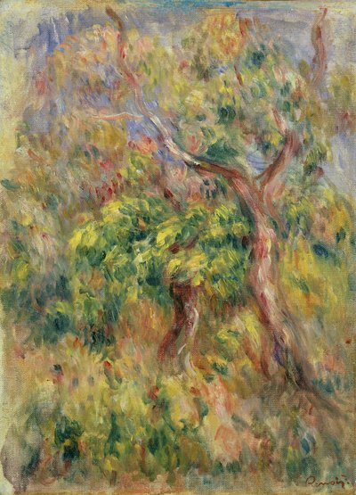 Árboles, 1915-16 de Pierre Auguste Renoir